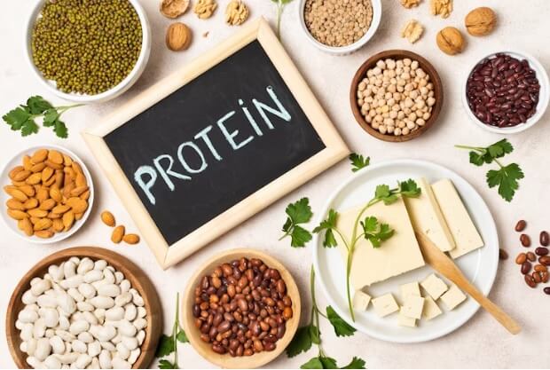 Include Protein In Diet For Weight Loss